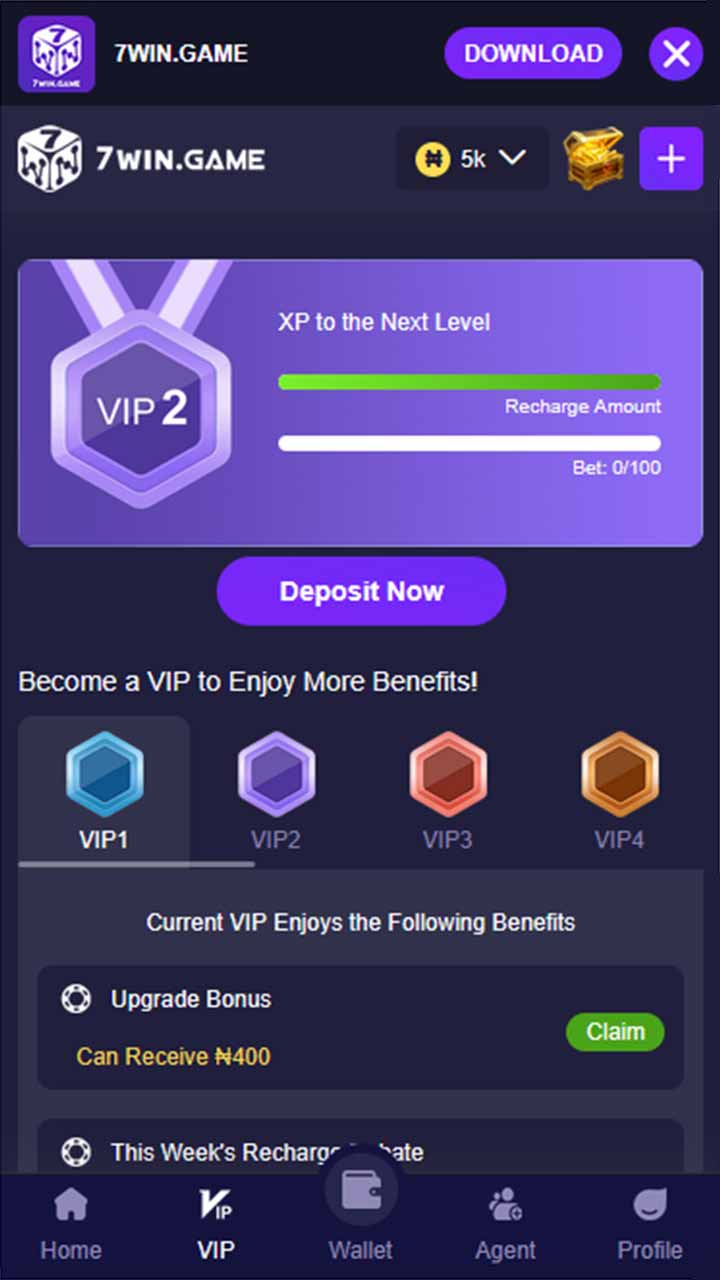 Imagem da captura de tela